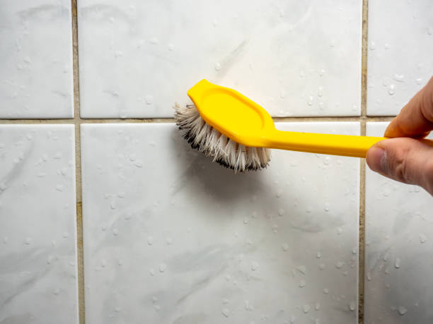 Best Home Mold Removal  in Leechburg, PA