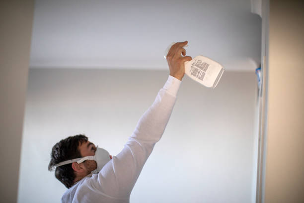 Best Fast Mold Removal  in Leechburg, PA